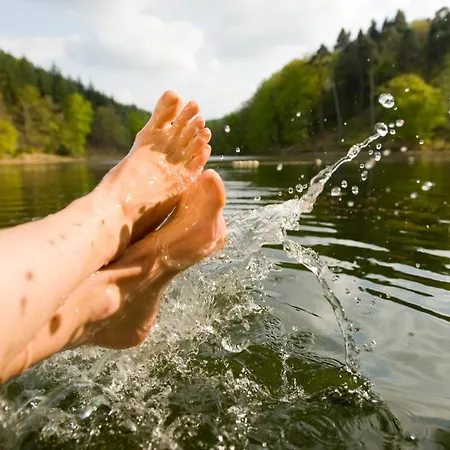 Seehaus Forelle Haeckenhaus فندق