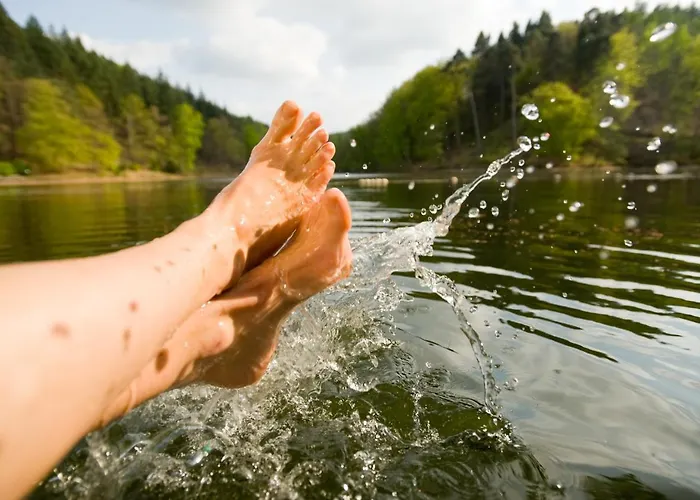 Seehaus Forelle Haeckenhaus 酒店