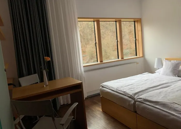 Seehaus Forelle Haeckenhaus 酒店