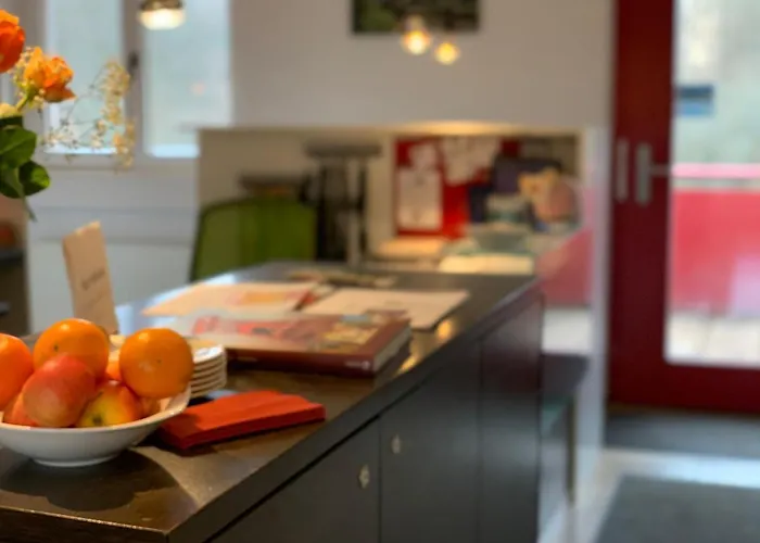 酒店 Seehaus Forelle Haeckenhaus